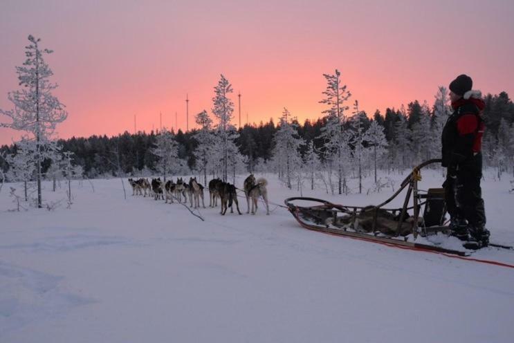 Apartment Suutarintie - Authentic Lappish Experience By The River Rovaniemi Exterior foto